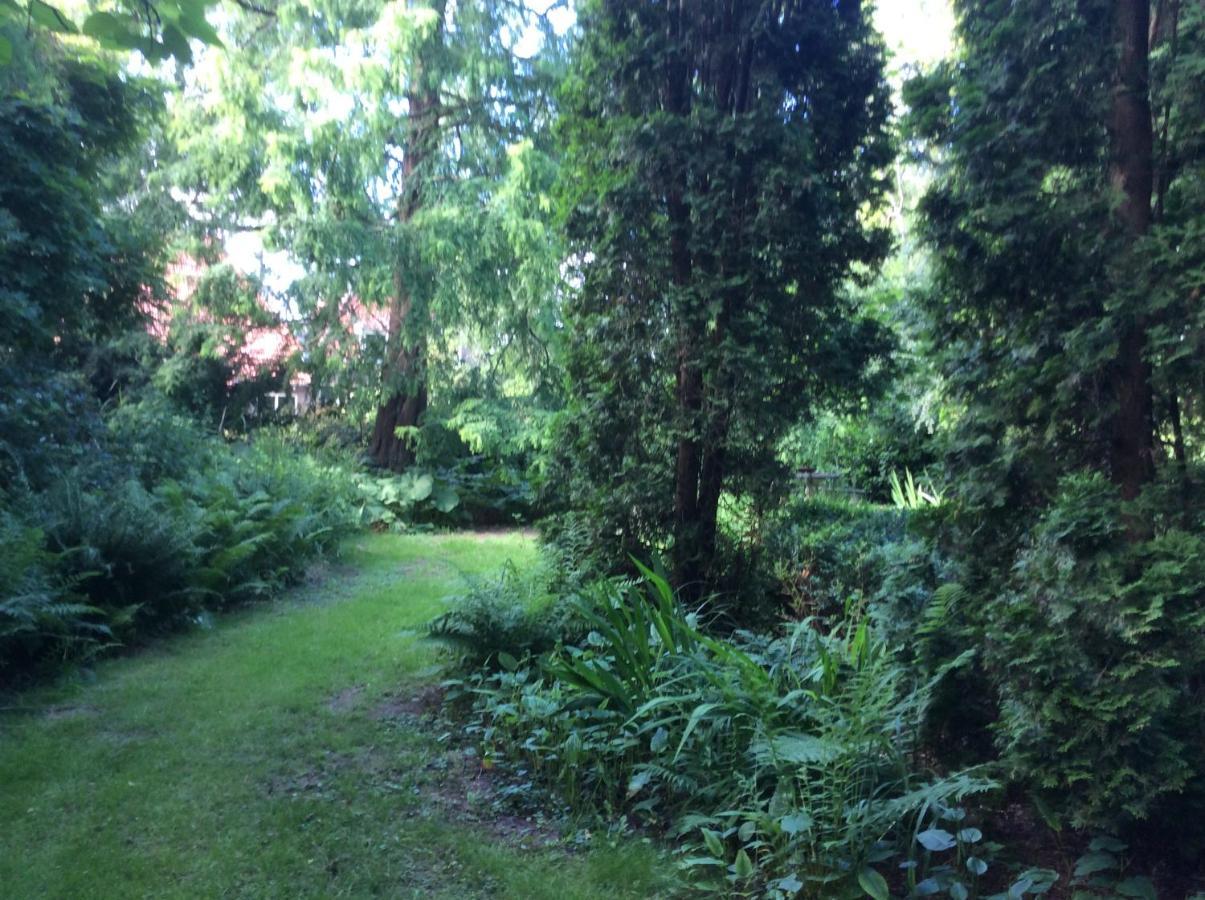 Noordwolde  Villa Laurelin, Lothorien المظهر الخارجي الصورة